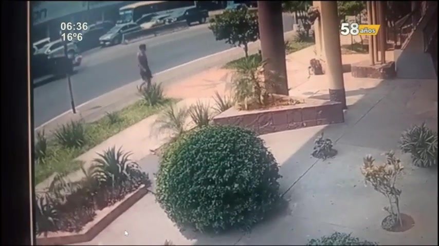 Atropellada al intentar cruzar la ruta - SNT