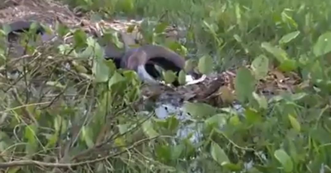 Dan clases rodeados de agua en escuela