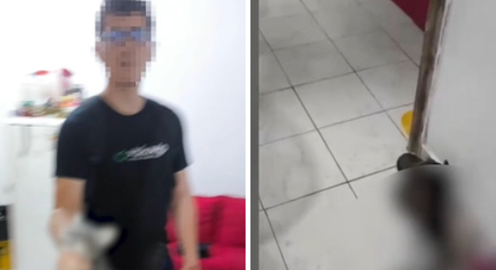 Violencia doméstica y crueldad animal en Presidente Franco