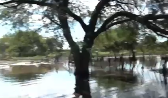 Situación crítica: el Chaco bajo agua