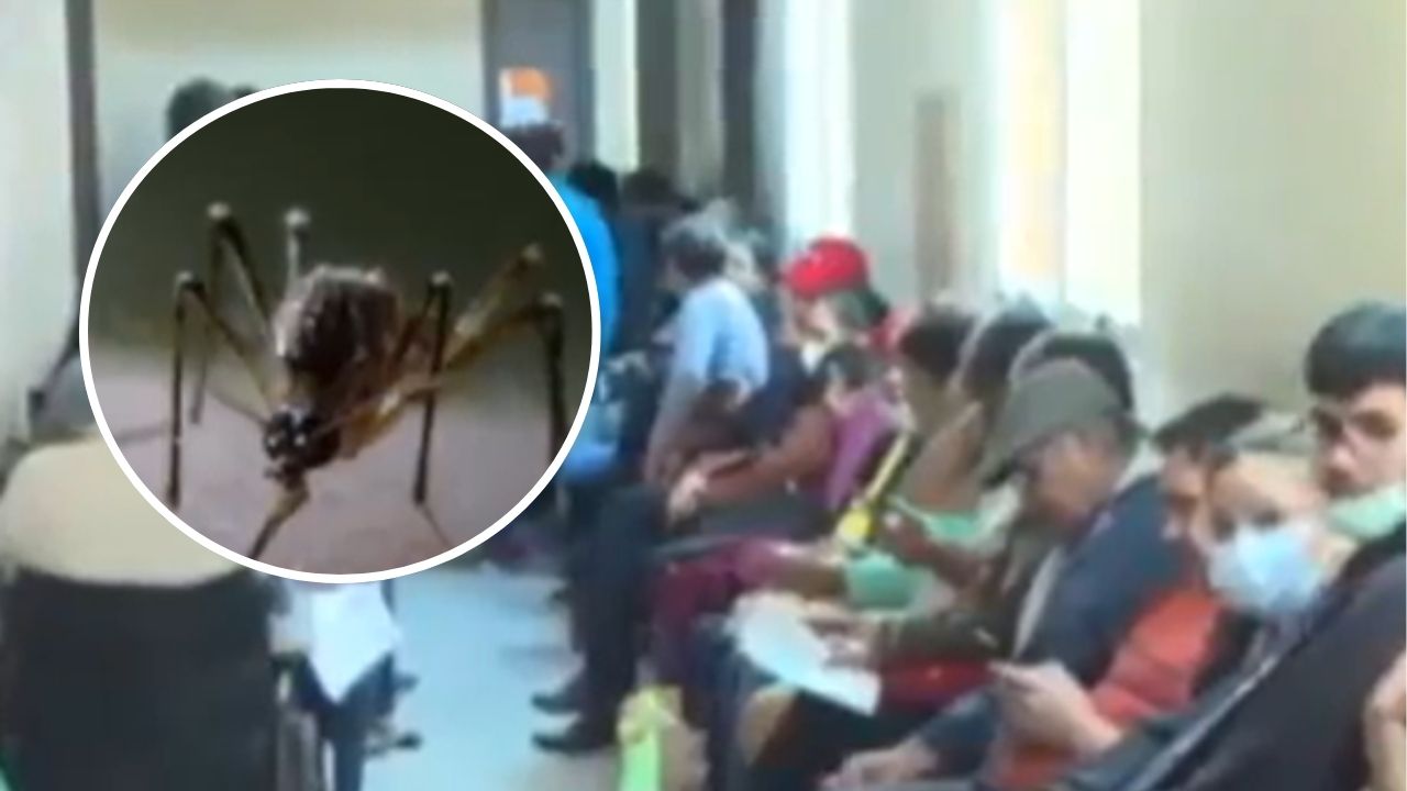 Confirman primer caso de DENV-3 tras casi una década