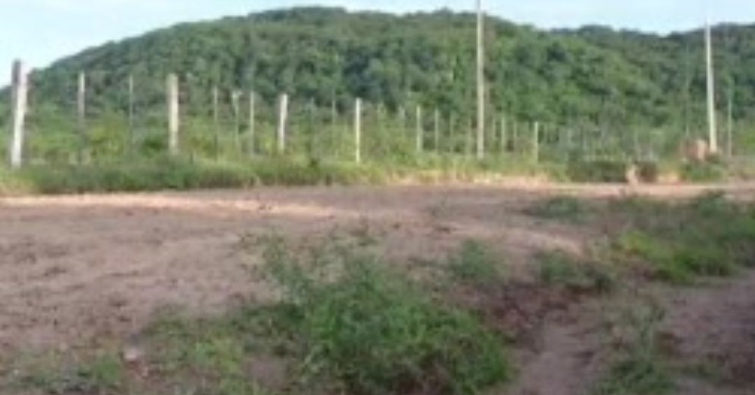 Violento episodio familiar deja a una mujer hospitalizada