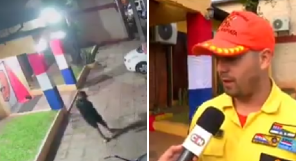 EBRIO CAUSÓ DESTROZOS EN UN CUARTEL DE BOMBEROS EN CAPIATÁ