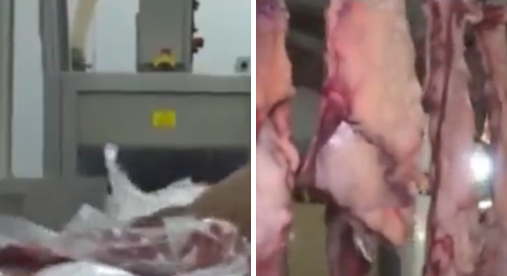 México habilitaría importación de carne paraguaya en 2027