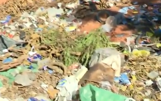 Denuncian robo de rejas y acumulación de basura en el Jardín Botánico